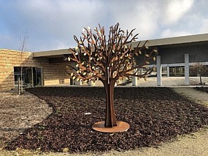 gedenkboom na plaatsing bij crematorium Lommel