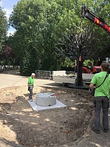 Gedenkmonument wordt op zijn plaats getakeld met kraanwagen op begraafplaats