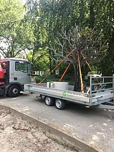 Transport van fundament en gedenkboom op begraafplaats Ridderkerk