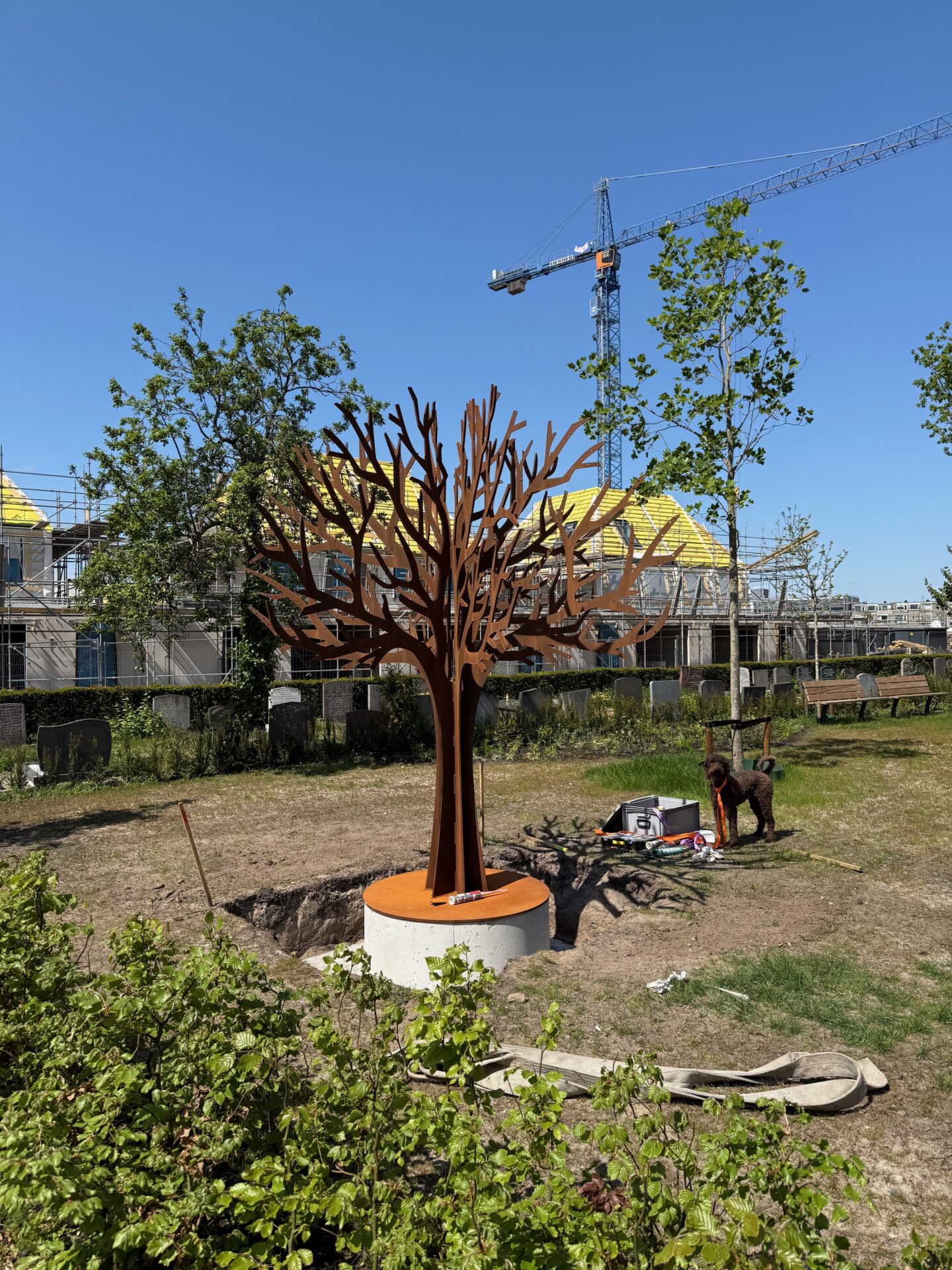 gedenkboom op begraafplaats Rustoord